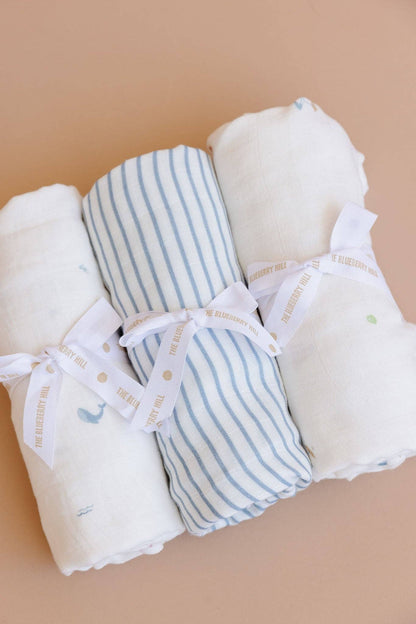 Organic Cotton Muslin Swaddle Blanket: Blue Stripe