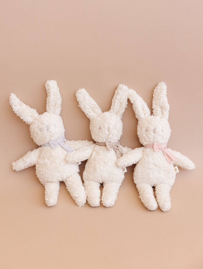 Organic Charlie Bunny Plush Toy